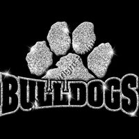 GLT32   SILVER GLITTER Thumbnail