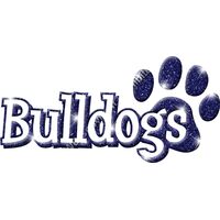 GLT17   BLUE GLITTER Thumbnail